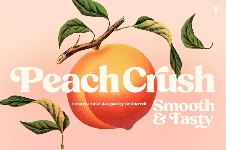 Peach Crush Serif Typefaced Font Download