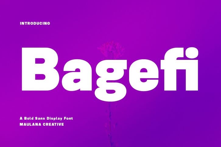 Bagefi Sans Serif Display Font Download