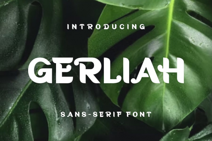 Gerliah Font Font Download