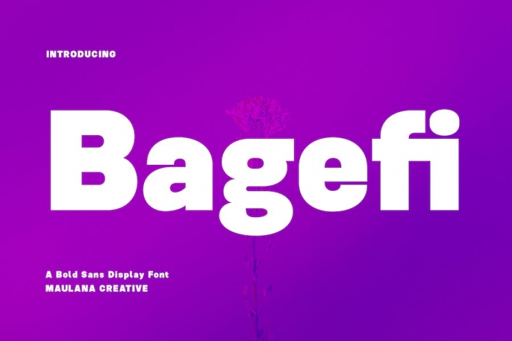 Bagefi Sans Serif Display Font Font Download