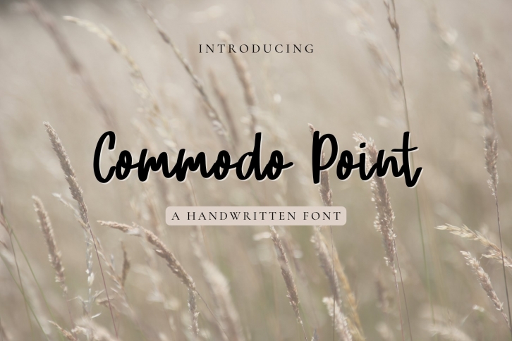 Commodo Point Script Font Download