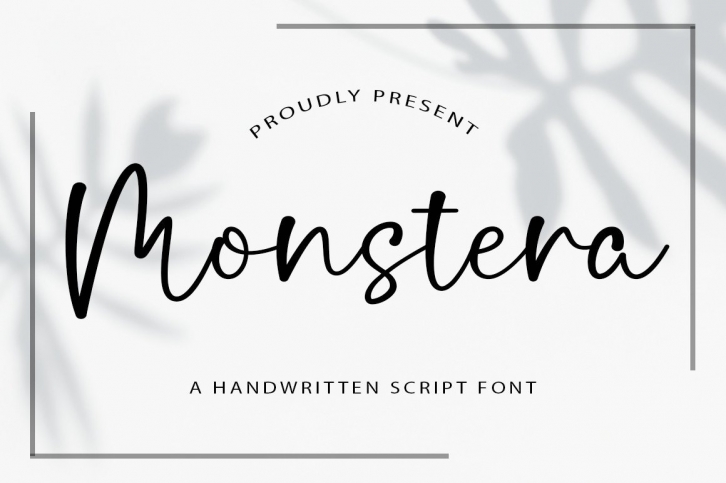 Monstera Font Download