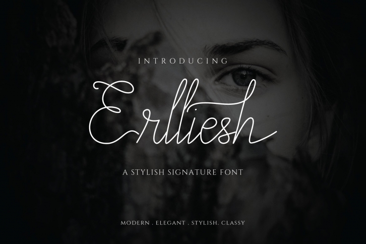 Elegant Signature Font Download