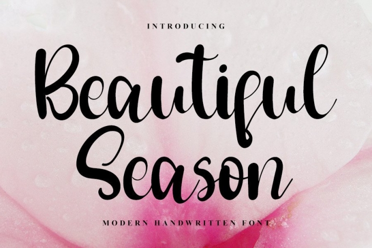 Beautiful Season Font Download