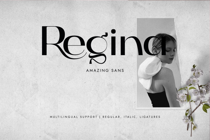 Regina Font Download