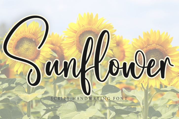 Sunflower Font Download