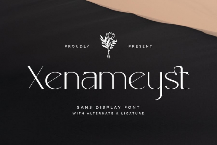 Xenameyst - Sans Display Font Font Download