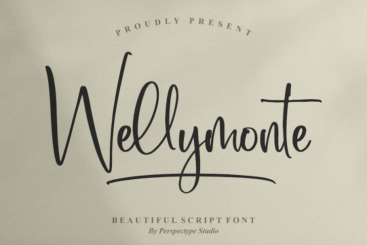 Wellymonte Script Font Font Download