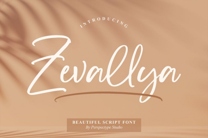 Zevallya Script Font Font Download