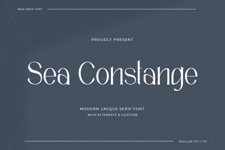 Sea Constange - Modern Unique Serif Font Font Download
