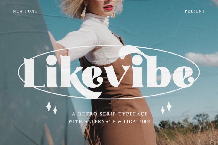 Like Vibe - A Retro Serif Typeface Font Download