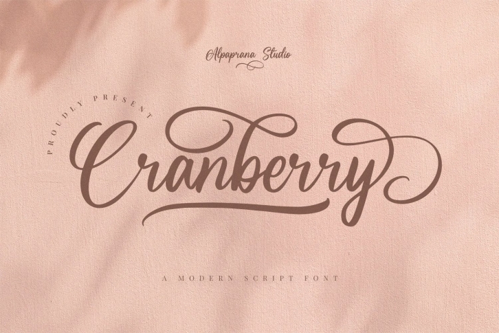 Cranberry Font Download