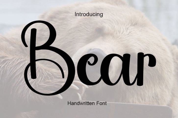 Bear Font Download