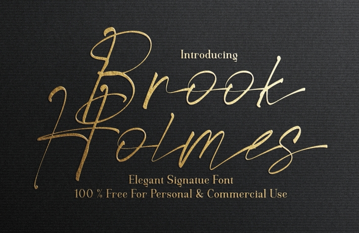 Brook Holmes Font Download