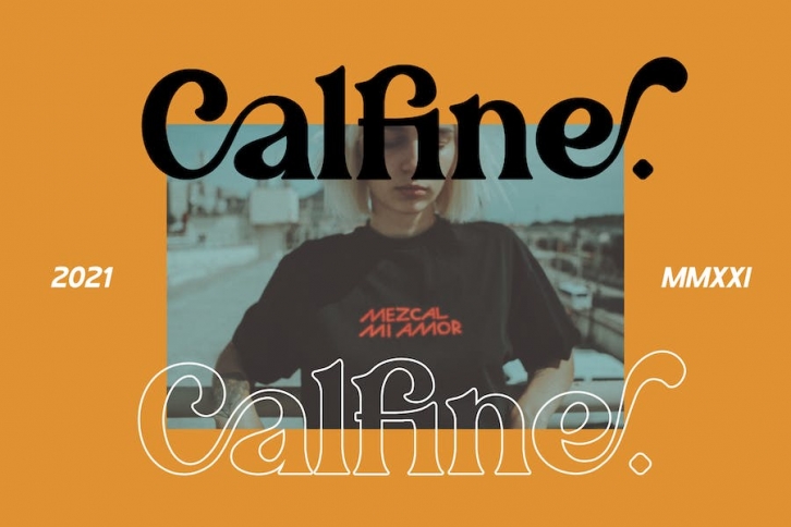 Calfine - A Modern Serif Font Download
