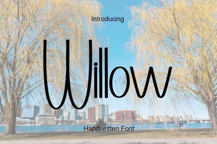 Willow Font Download