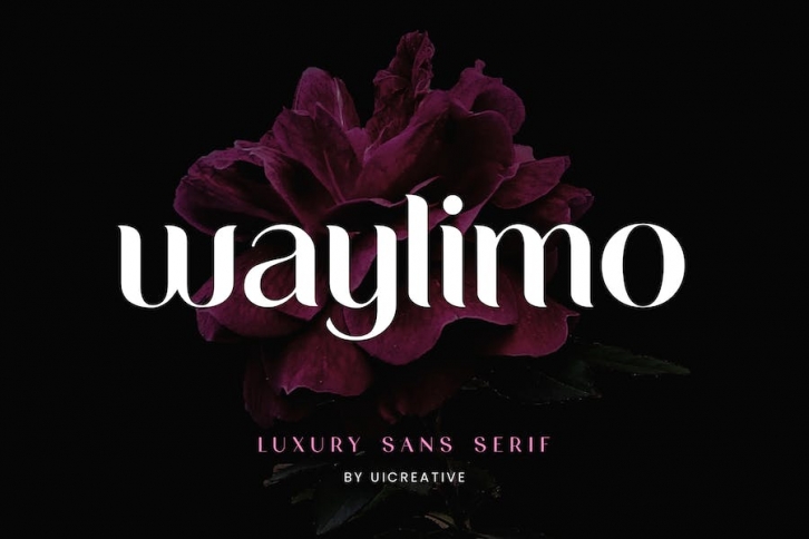 Waylimo Luxury Sans Serif Font Font Download