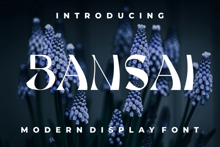 Bansai Font Download