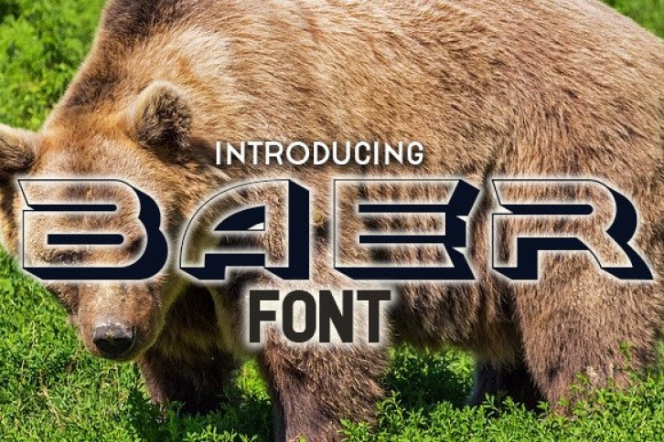 Baer Font Download