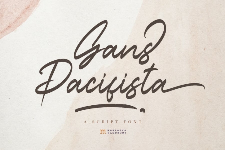 Gans Pacifista | A Brush Script Font Font Download