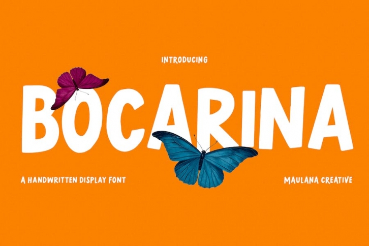 Bocarina Handwritten Display Font Font Download