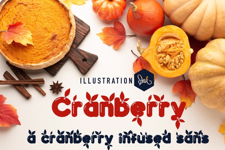 PN Cranberry Font Download