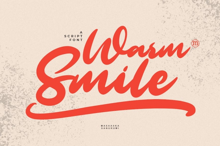 Warm Smile | A Modern Script Font Font Download