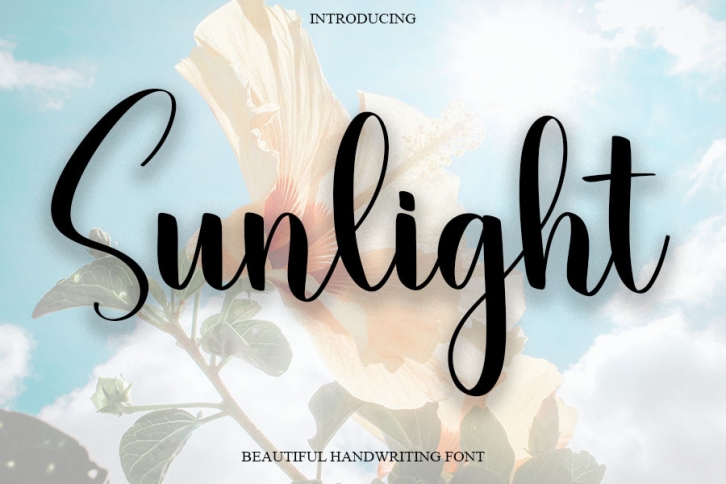 Sunlight Font Download