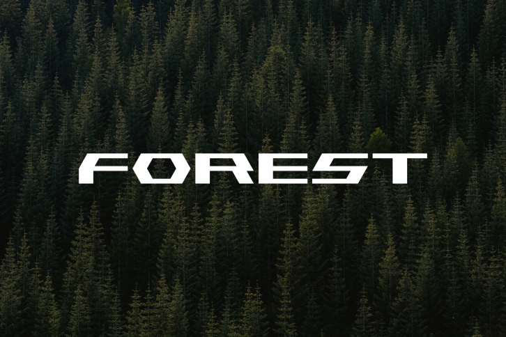 Forest Font Download