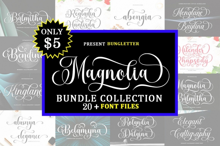 Magnolia Bundle Collection Font Download