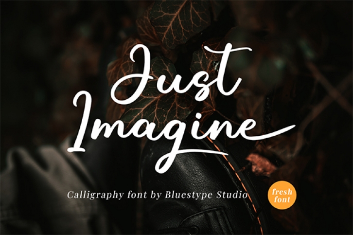 Just Imagine Font Download