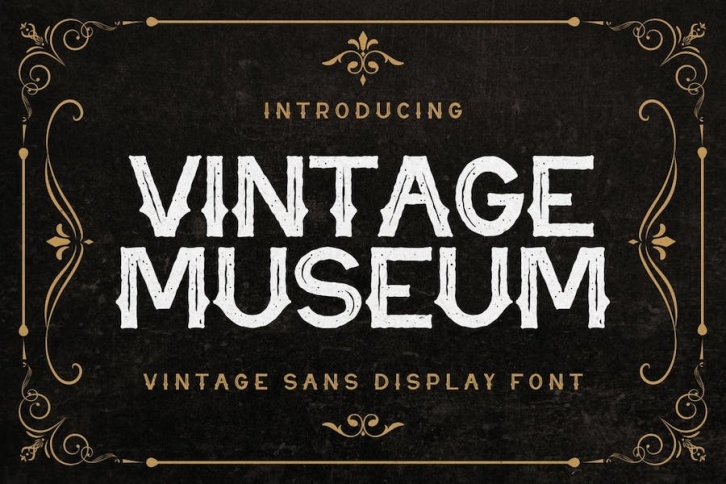 Vintage Museum - Vintage Sans Display Font Font Download