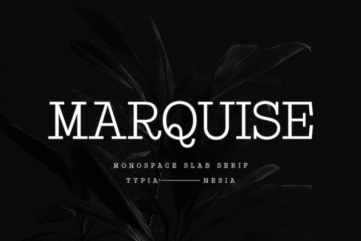 Marquise - Modern Monospace Slab Serif Font Font Download