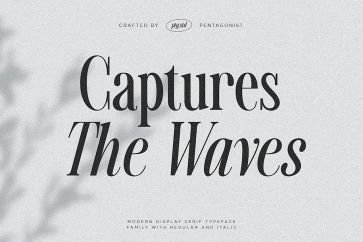 Captures The Waves | Modern Display Serif Font Download