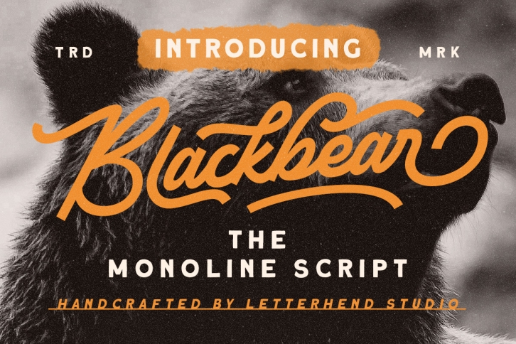 Blackbear Font Download