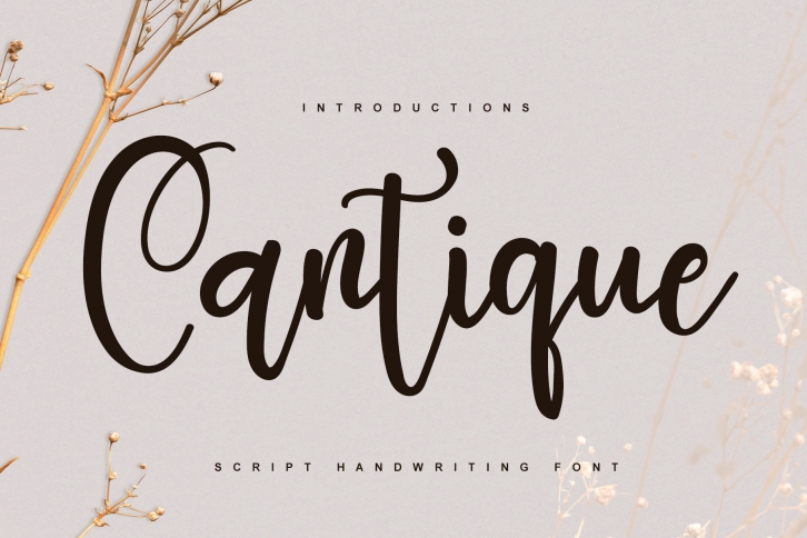 Cantique Font Download