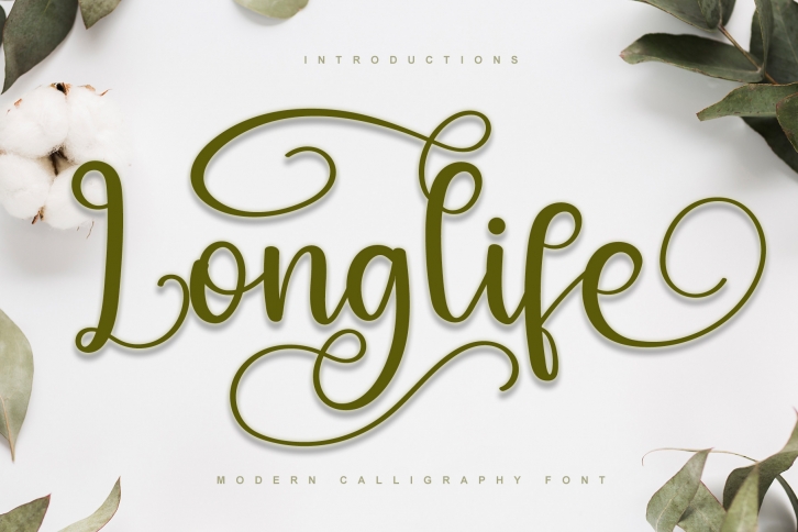 Longlife Font Download