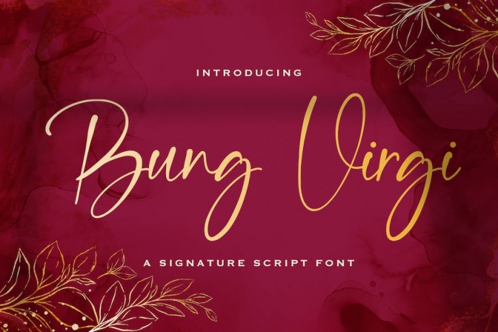 Bung Virgi - Signature Script Font Font Download