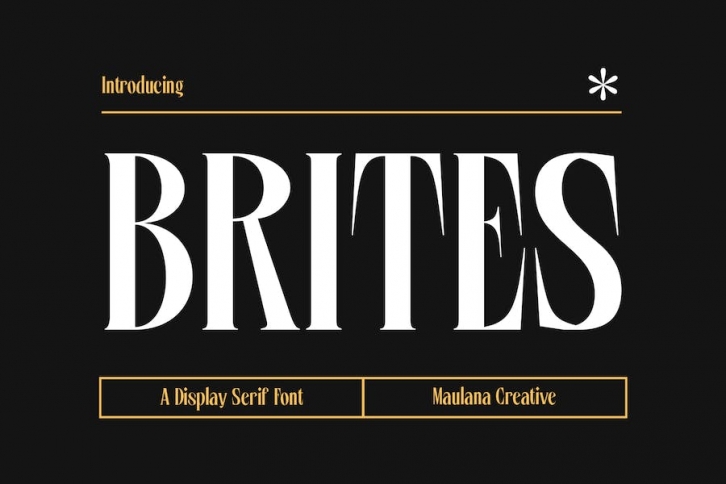 Brites Display Serif Font Font Download