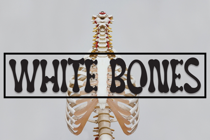 White Bones Font Download