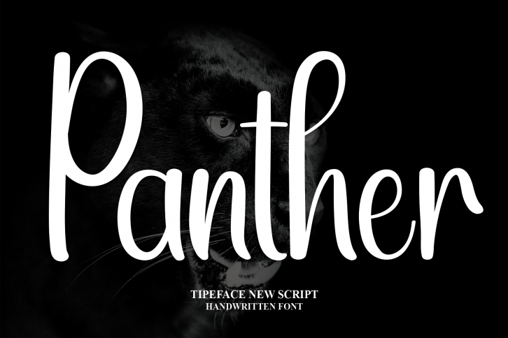 Panther Font Download