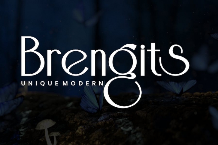 Brengits - Sans Serif Font Font Download