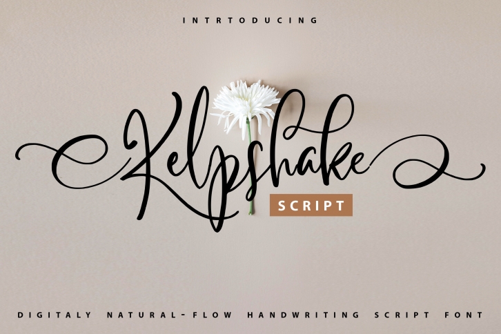 Kelpshake Font Download