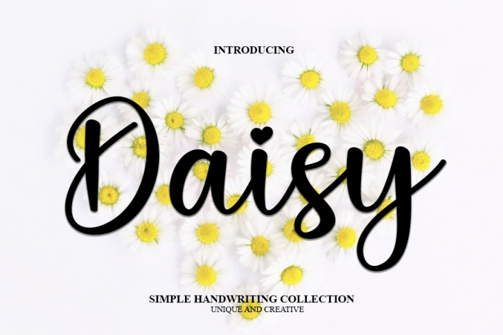 Daisy Font Download