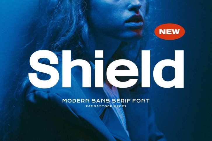 Shield Font Download
