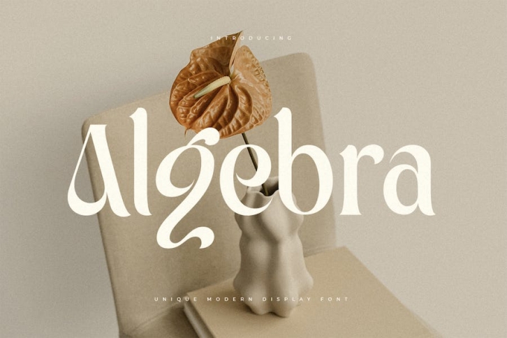 Algebra - Unique Modern Display Font Font Download