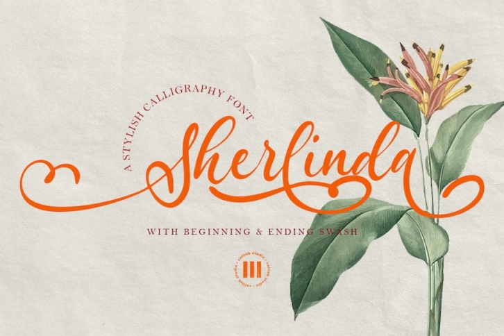Sherlinda - A Stylish Script Font Font Download