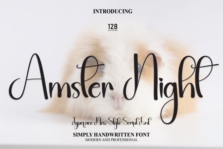 Amster Night Font Download