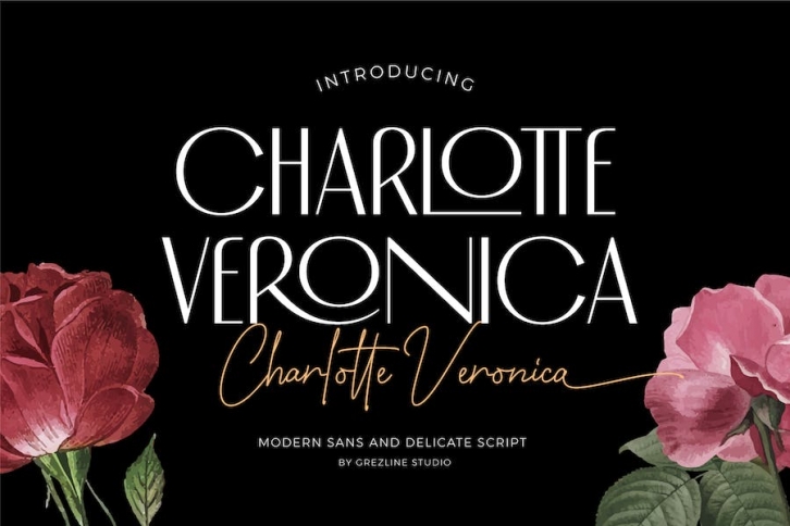 Charlotte Veronica - Font Family Font Download