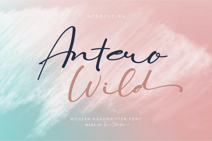 Antero Wild Font Download